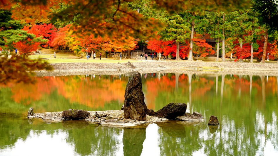 【平泉】毛越寺1