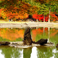 【平泉】毛越寺1