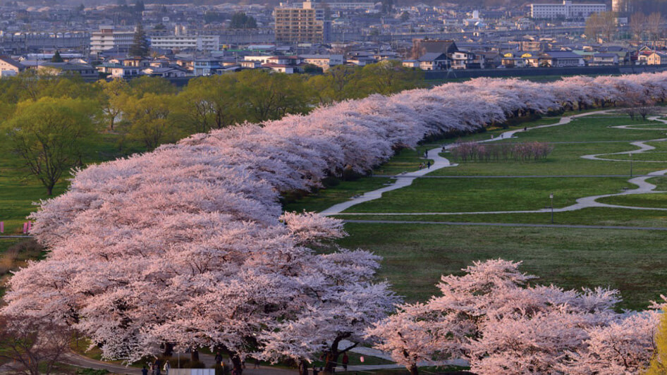 北上市立公園展勝地1