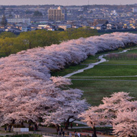 北上市立公園展勝地1