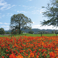 和賀川ふれあい広場1