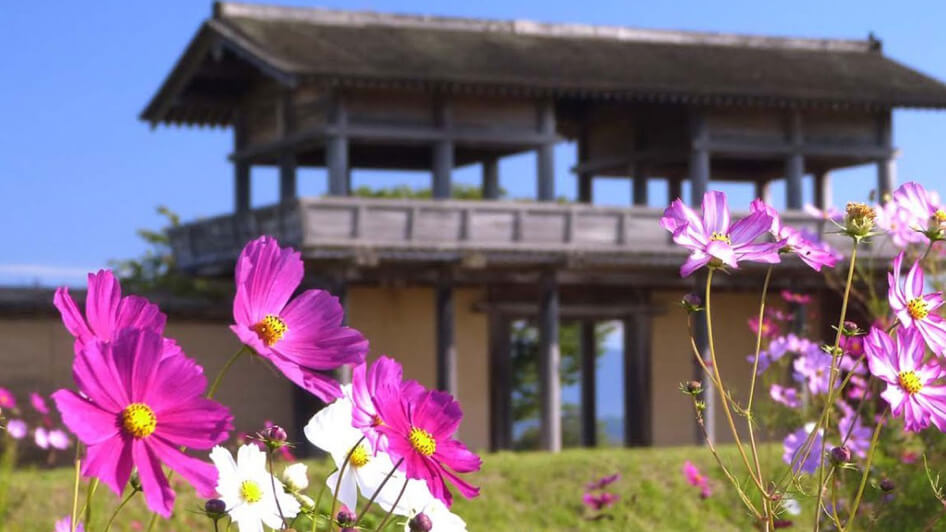 志波城古代公園