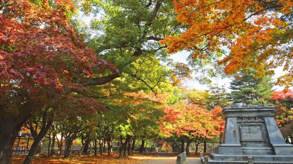 盛岡城跡公園