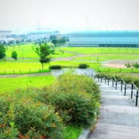 盛岡中央公園