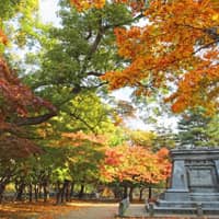 盛岡城跡公園