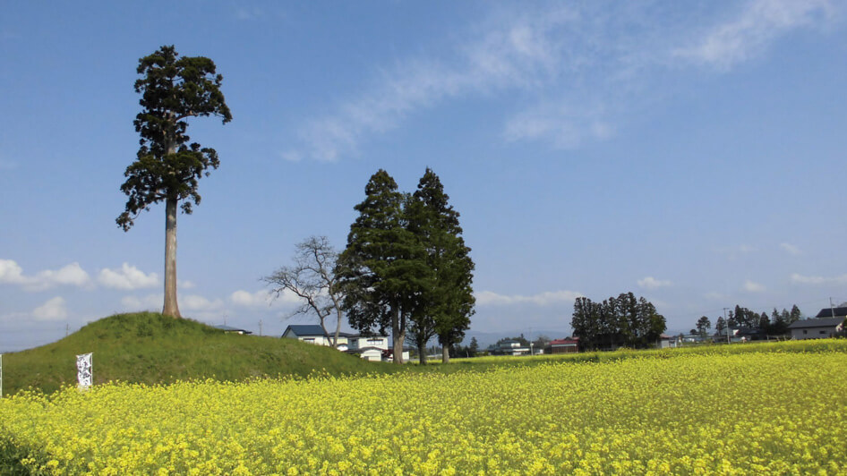 【胆沢】角塚古墳