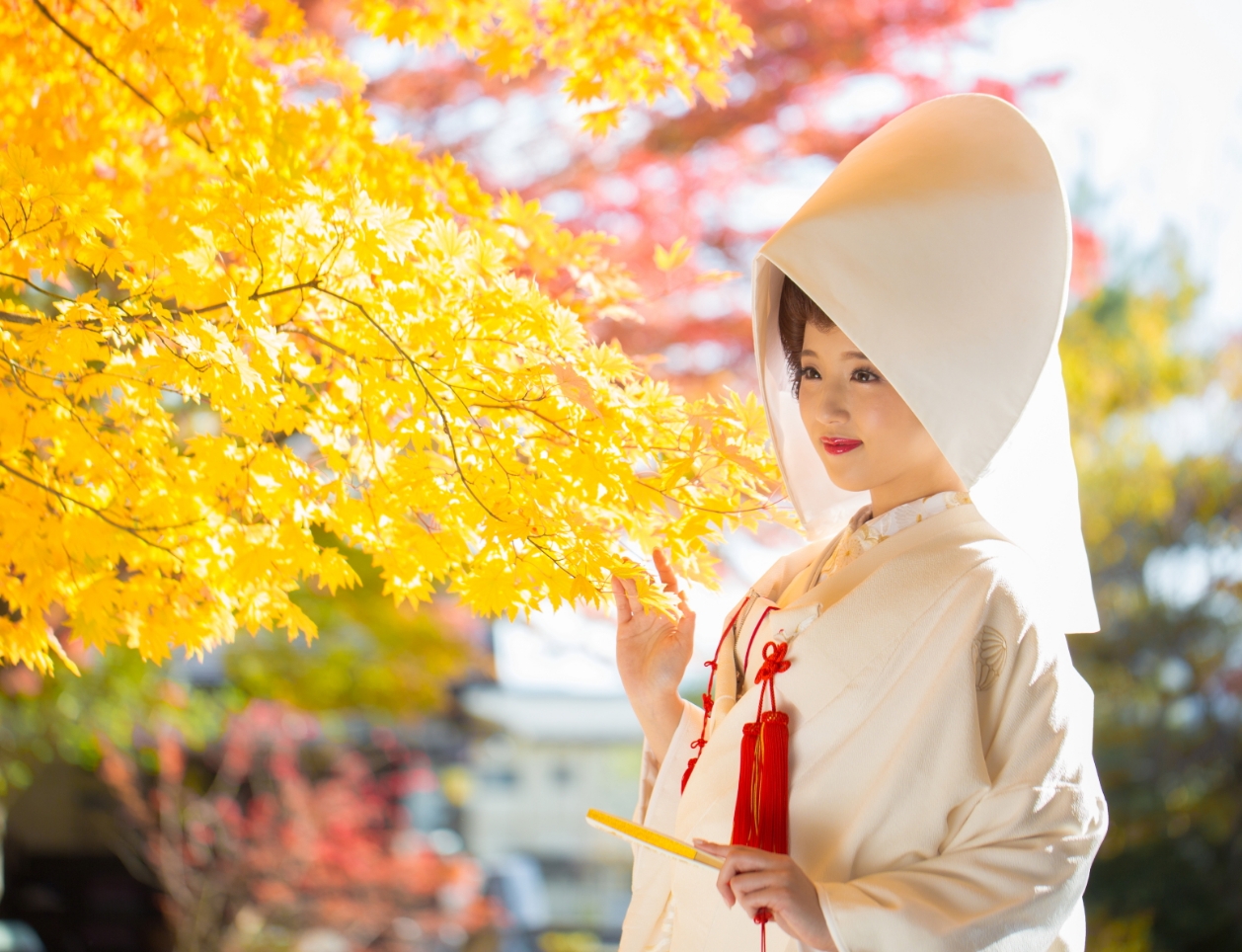和婚岩手